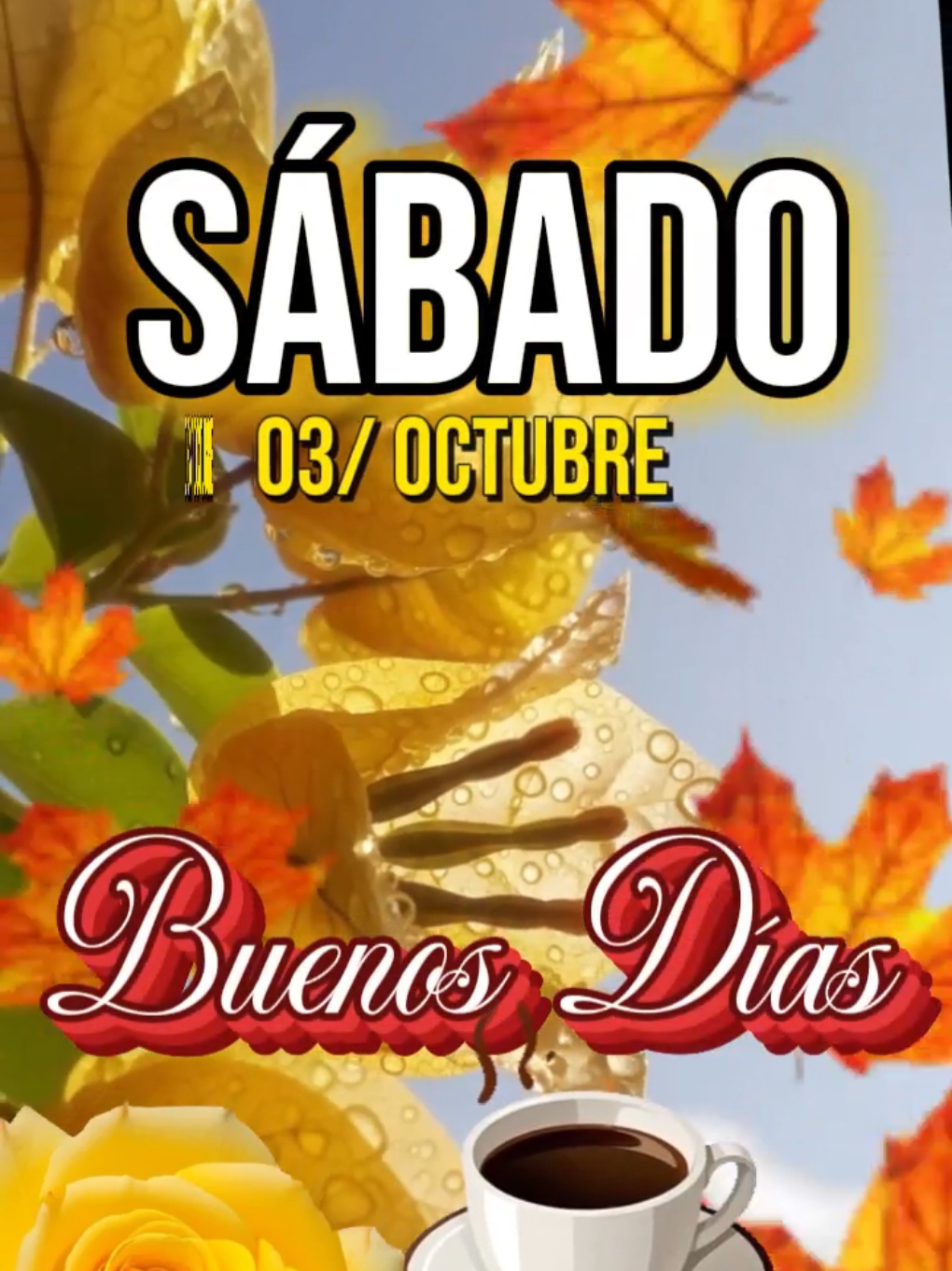 @Arely Mendoza Frases bonitas