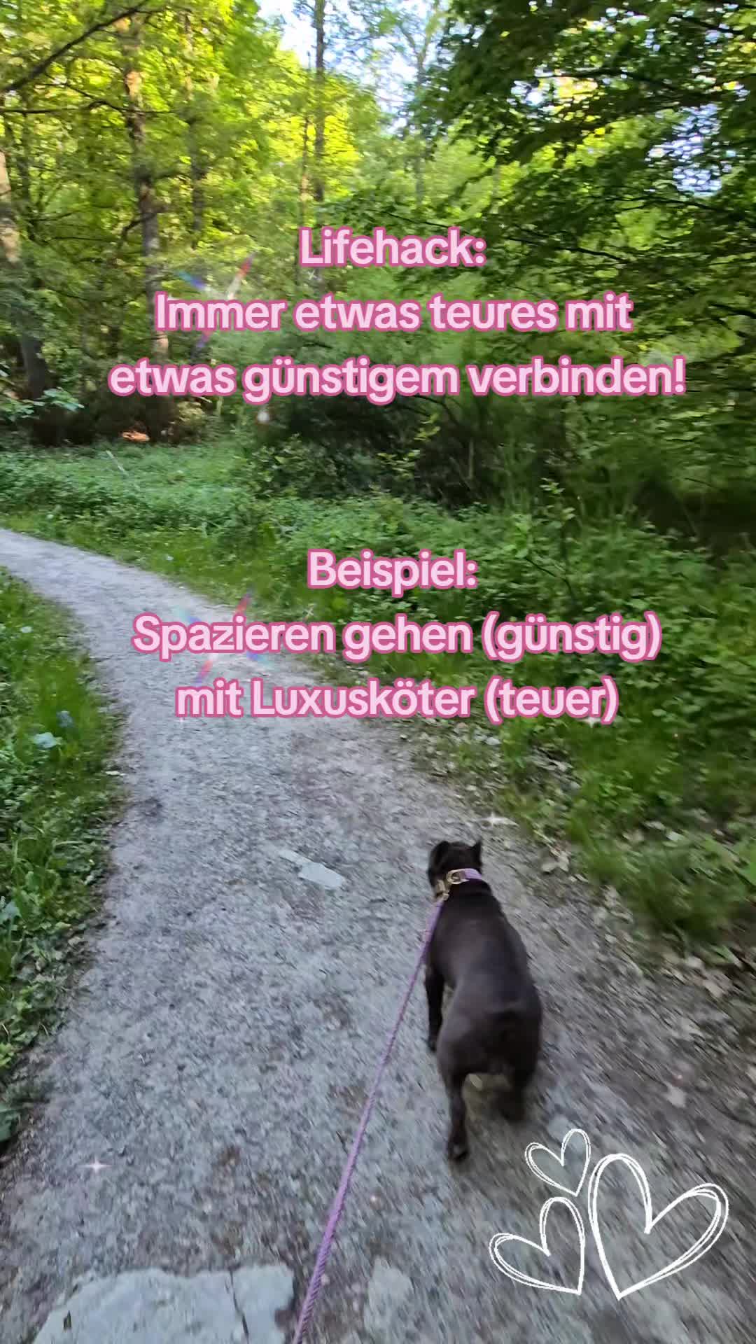 @FrenchieFrieda