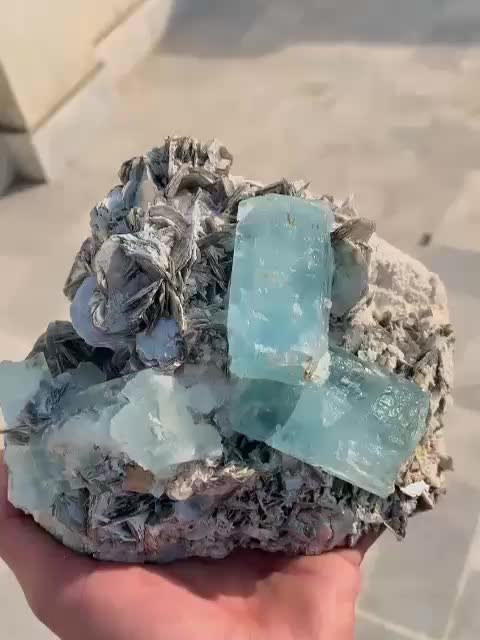 @Crystal NM