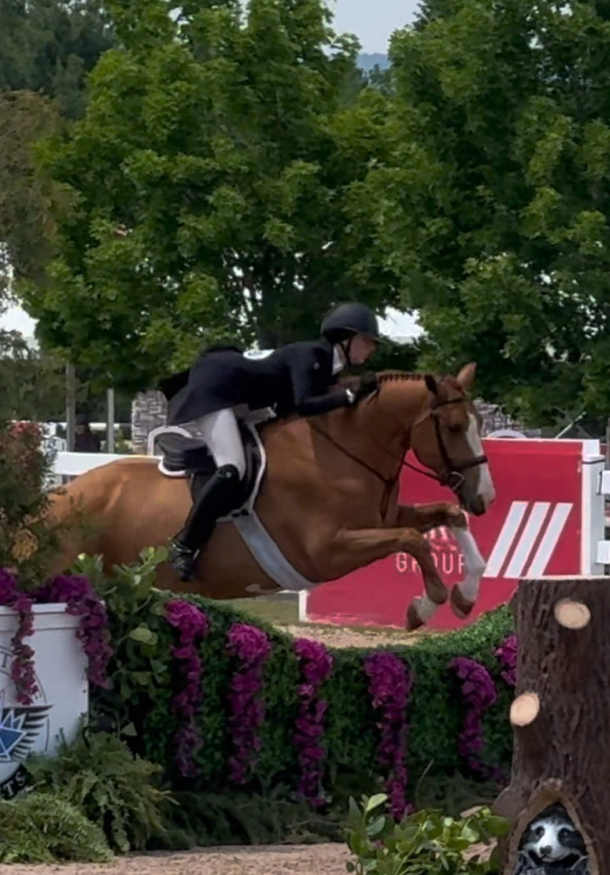 @Juliana Villella