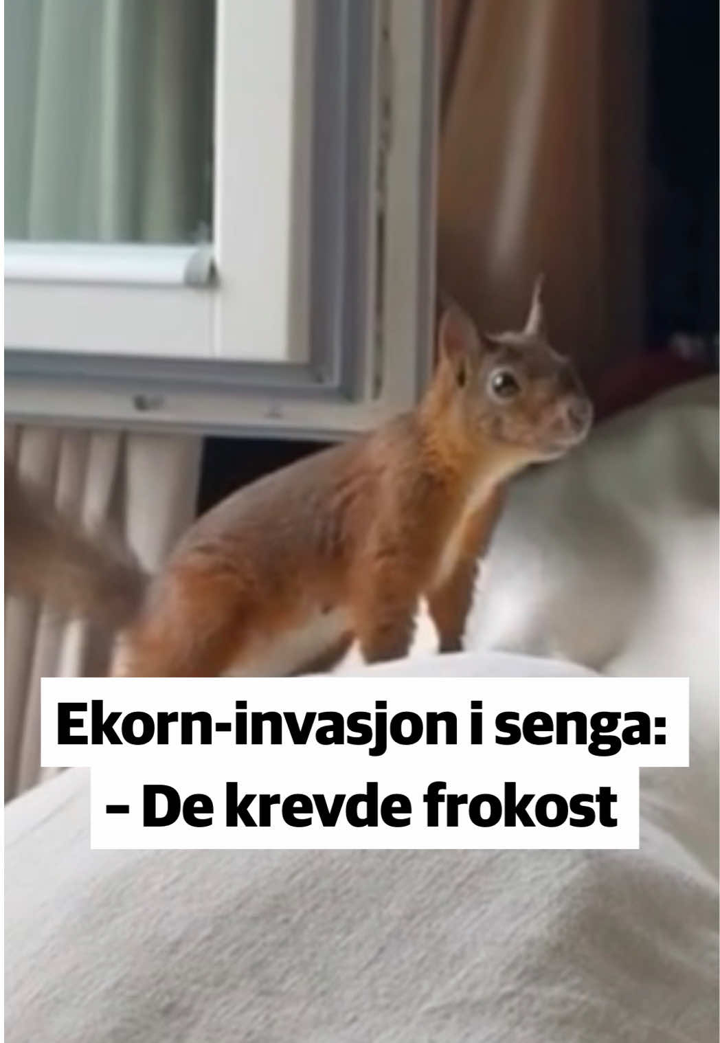 @Trønder-Avisa