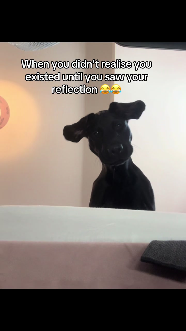 @Megan Tyraa'Martin (relatable)