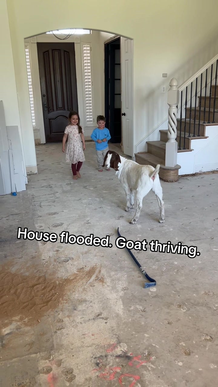 @draperranch