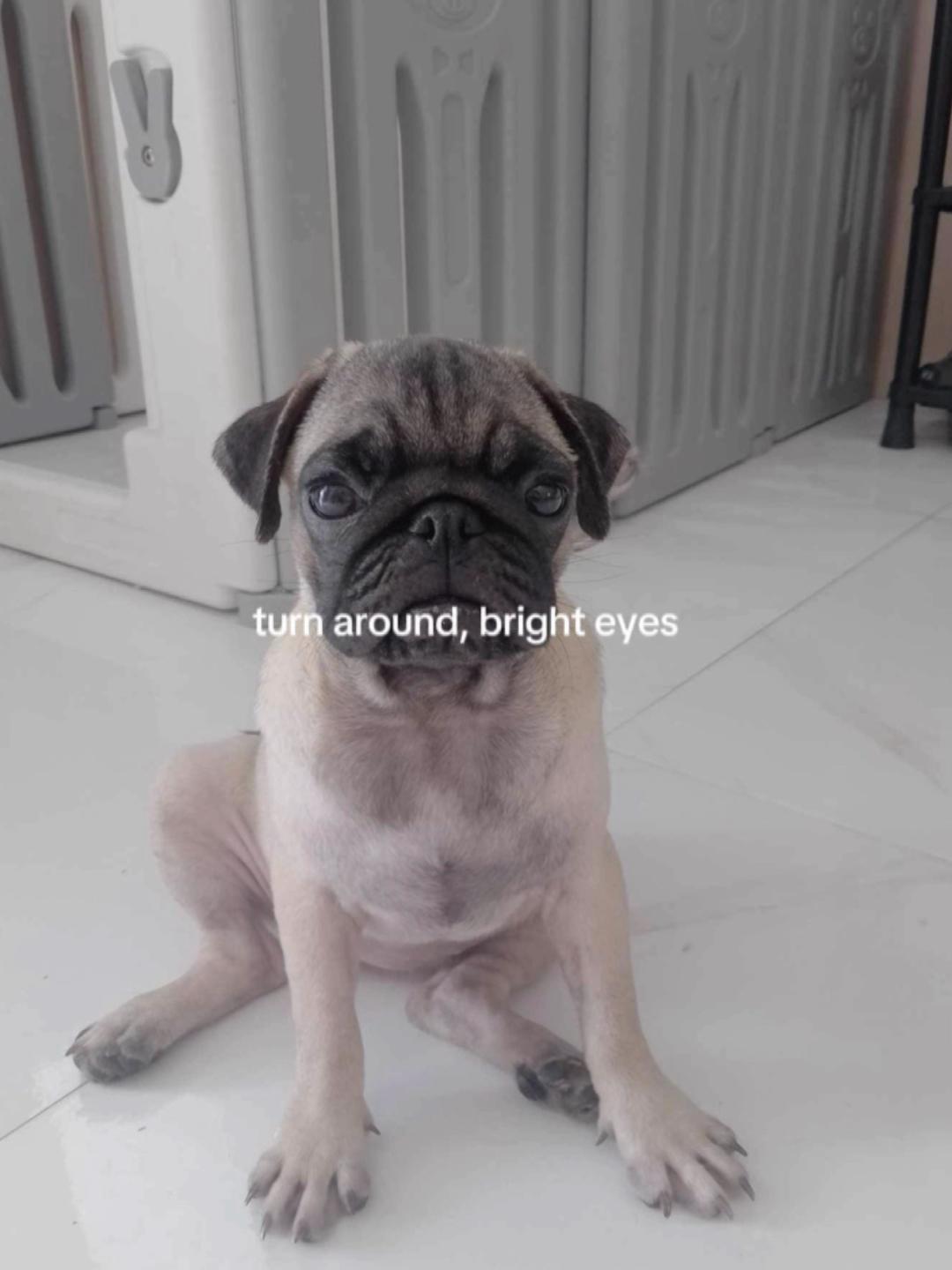 @SARA