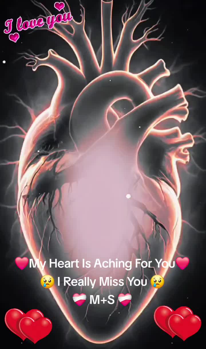 @❤️🩹 Shohid - Murshida ❤️🩹