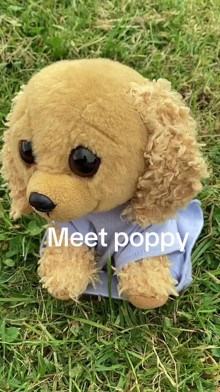 @Goob