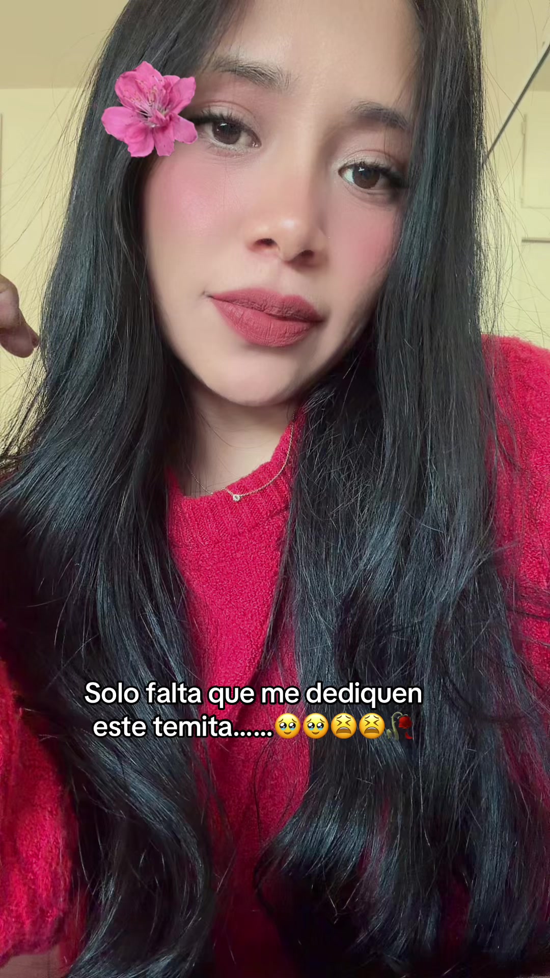 @Sol Gomez💫🇵🇪🇺🇸