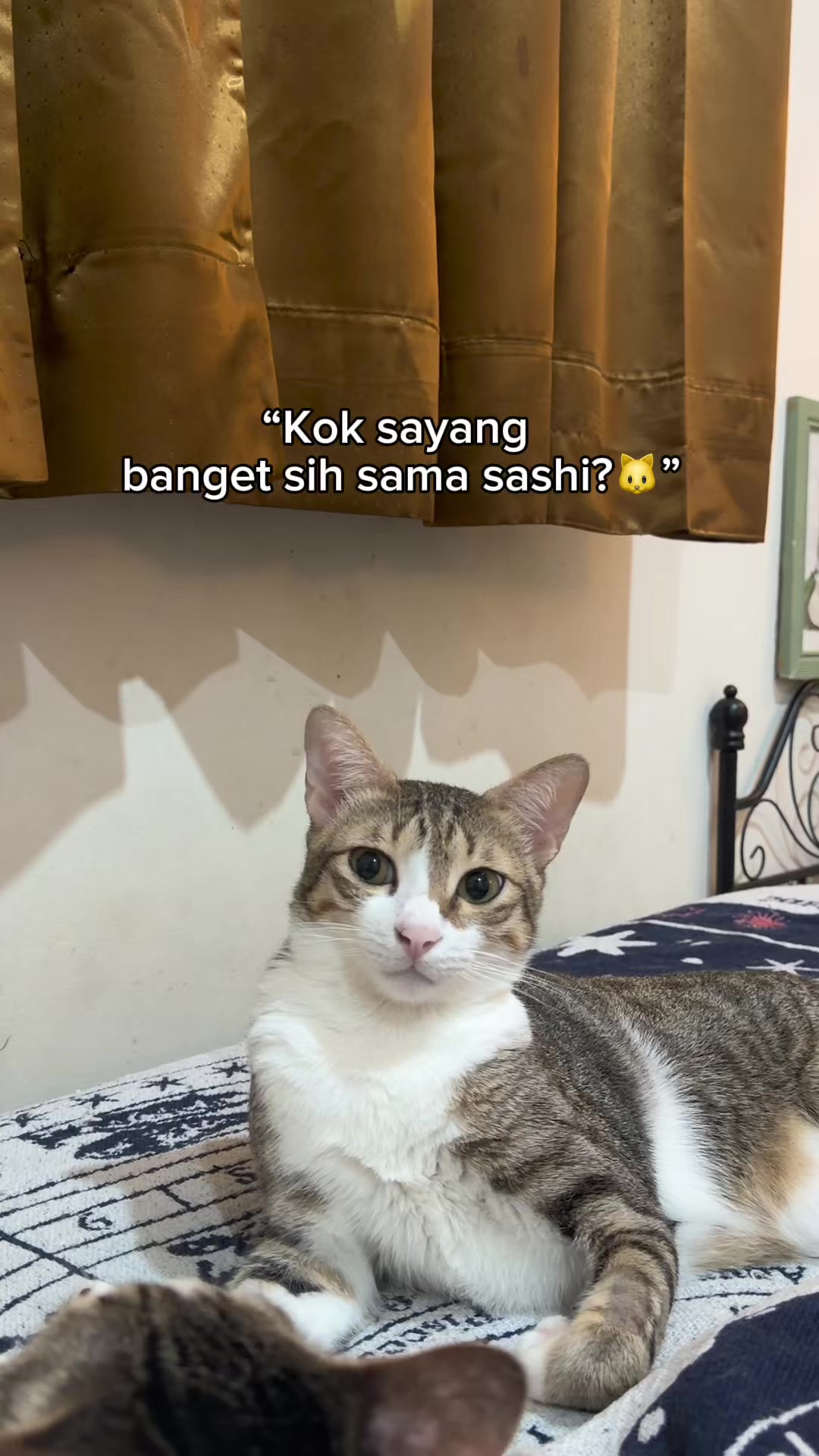 @drh. Ricky Halim dan Sashi