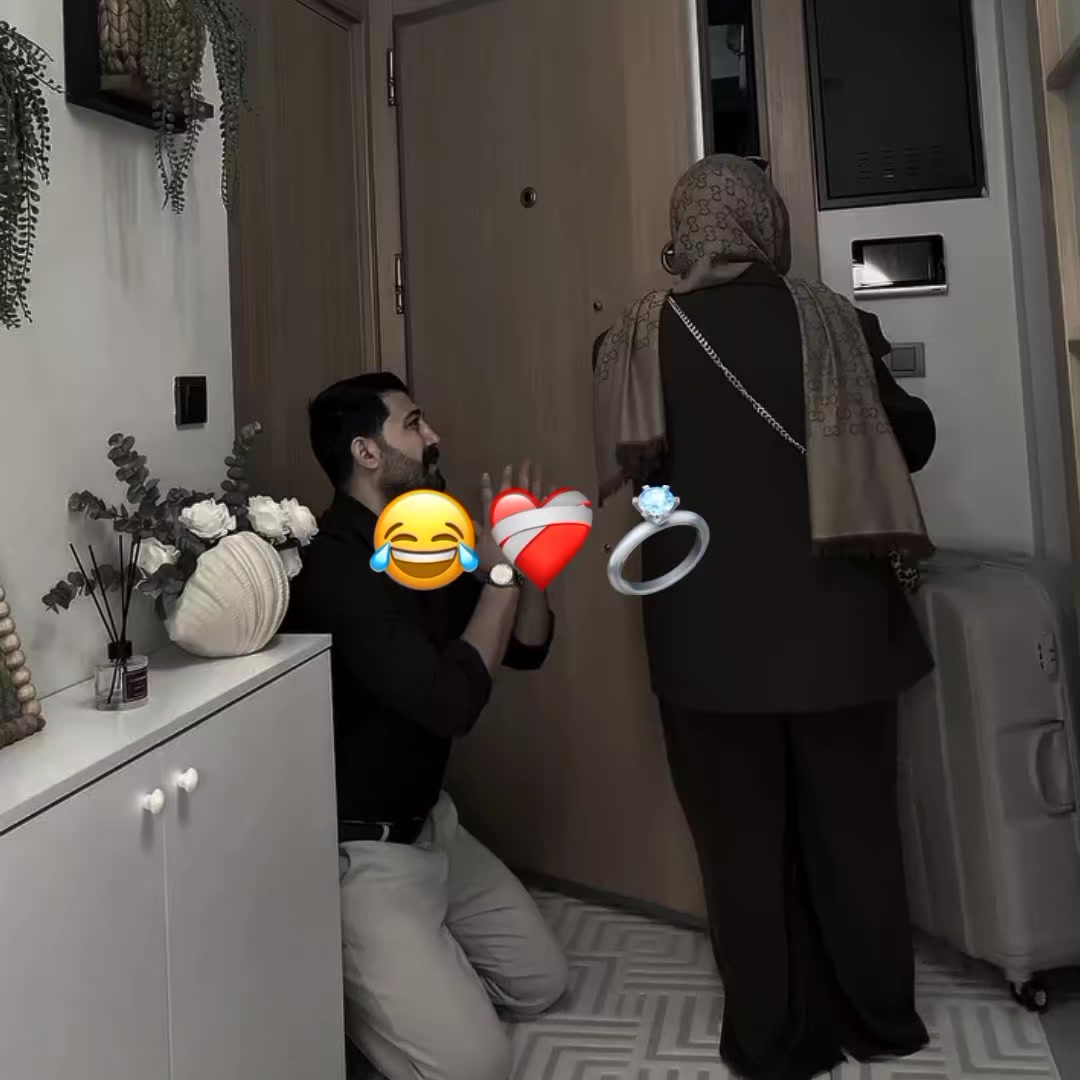@๐๐ก๐ ๐๐ซ๐๐ข๐งโ