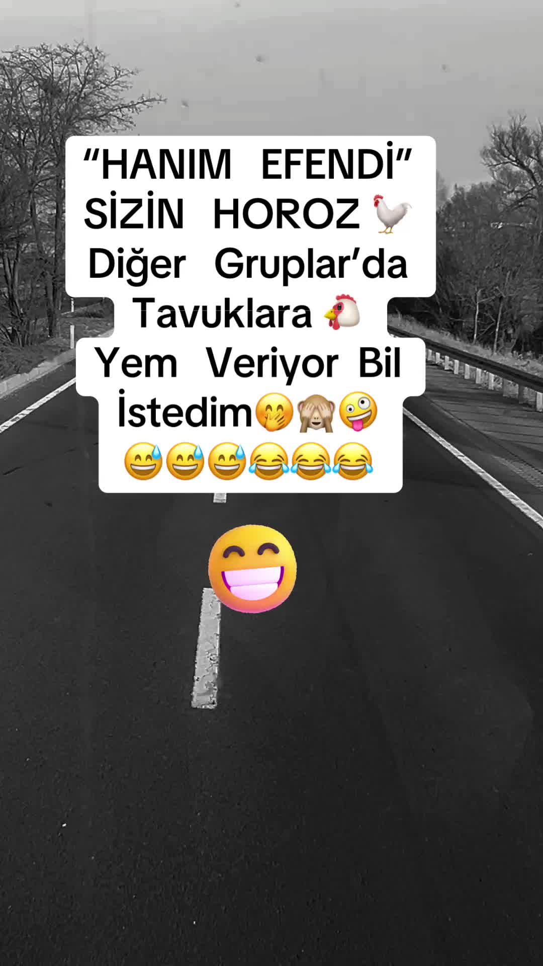 @✨🤍Ayliz_S🤍✨
