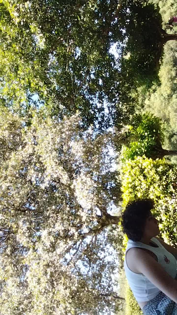 @perritos.lindos