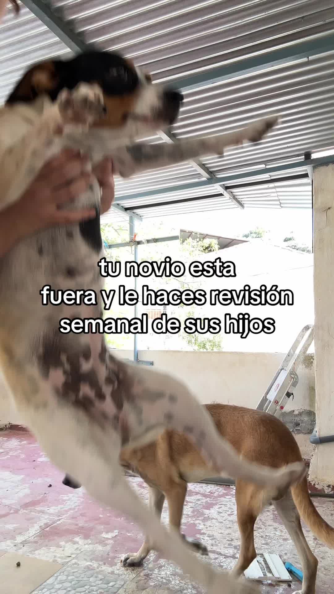 @bymartasecond