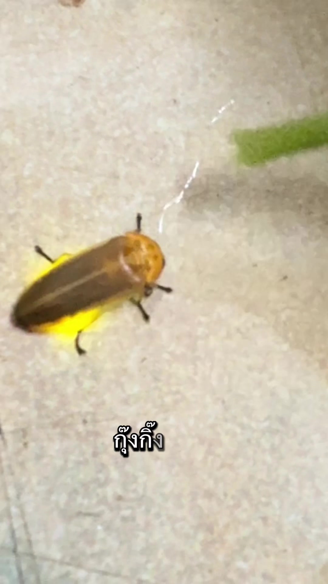 @Pojjana Nontasin