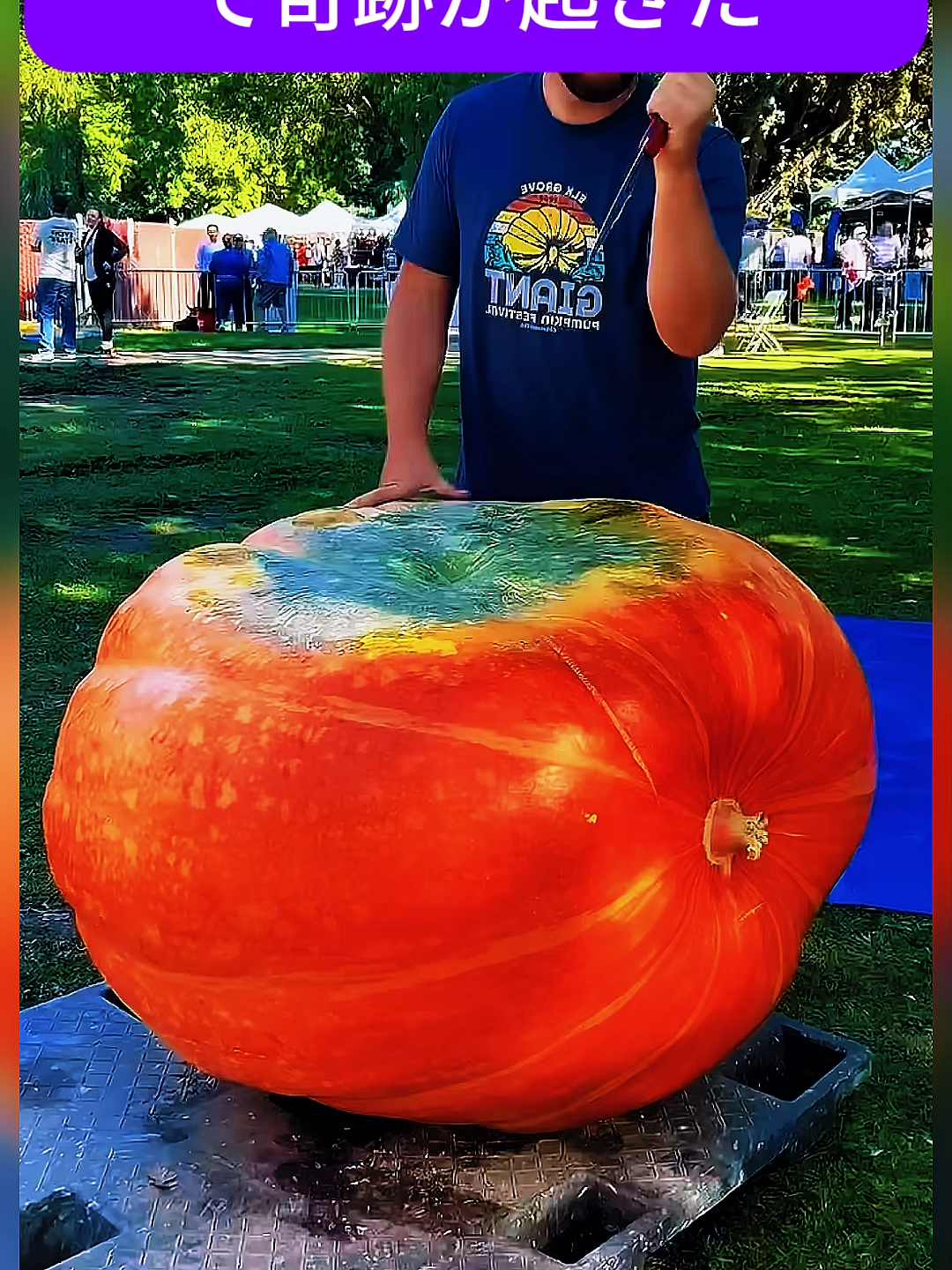 @ujhkolvqg00