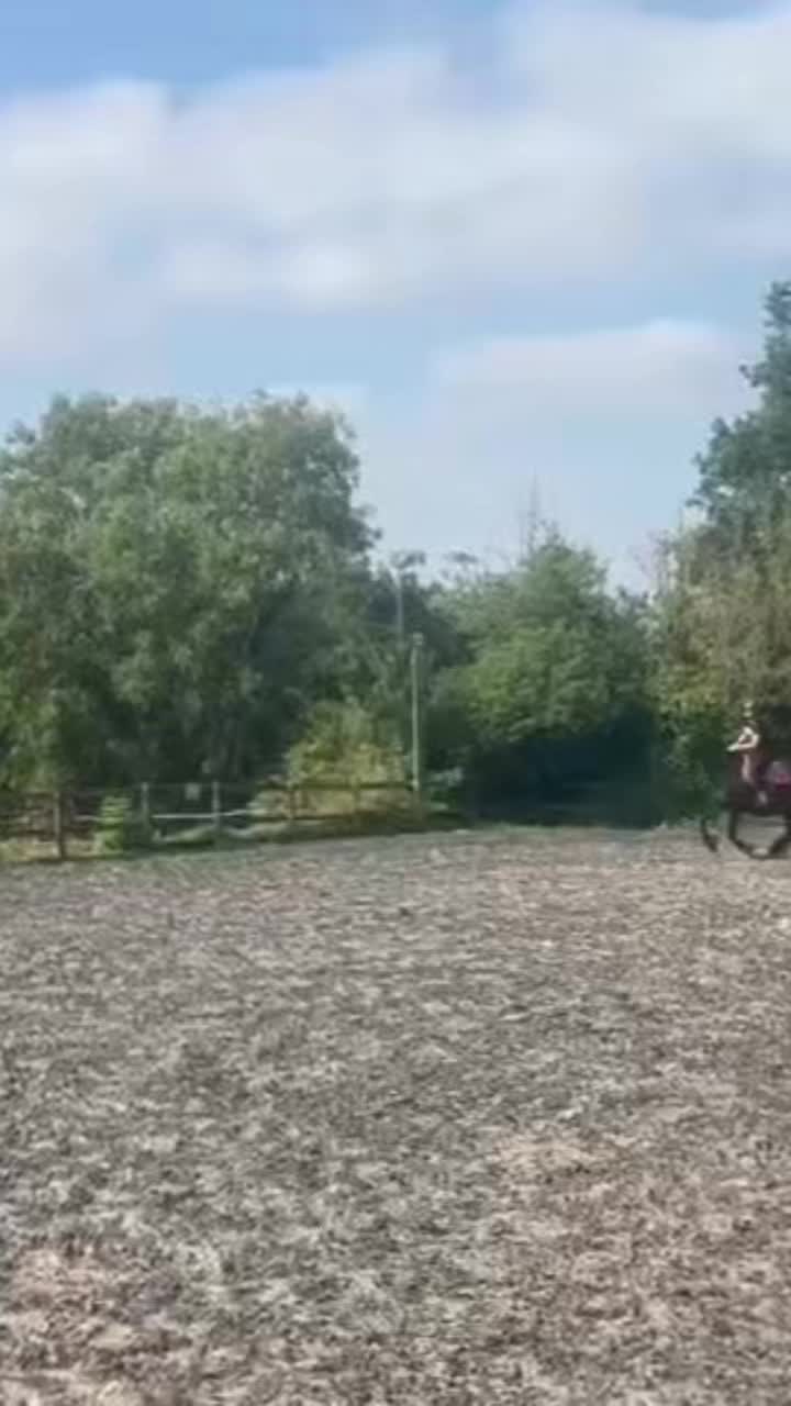 @My8hooves