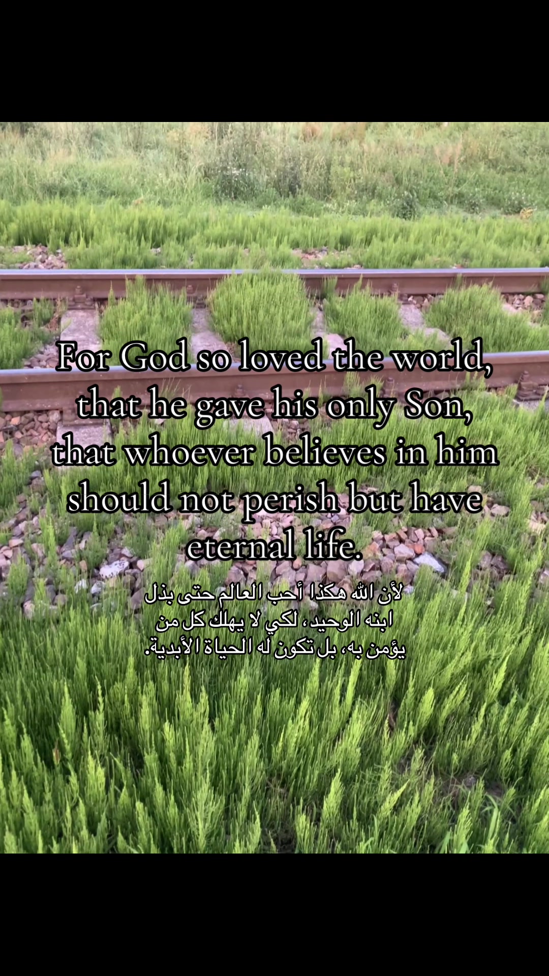 @Servant of Jesus Christ