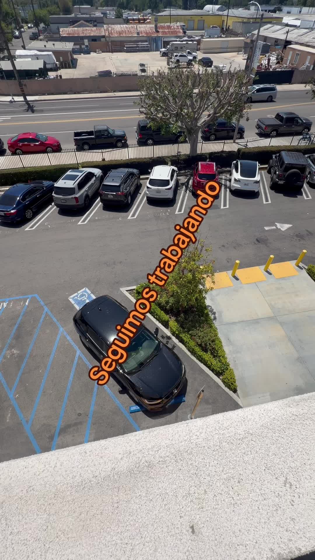 @" OSORIO "
