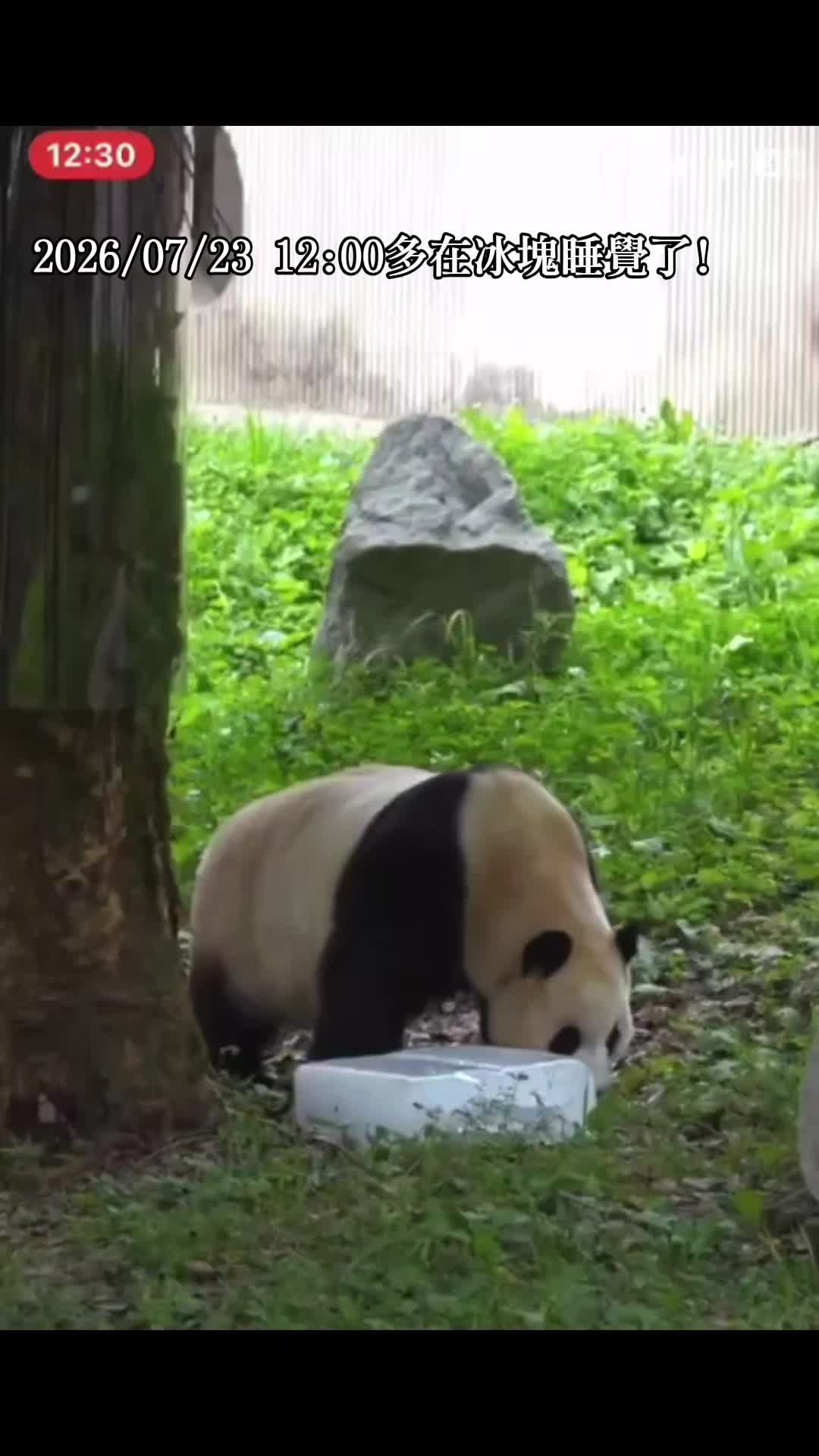@福寶需要愛的抱抱
