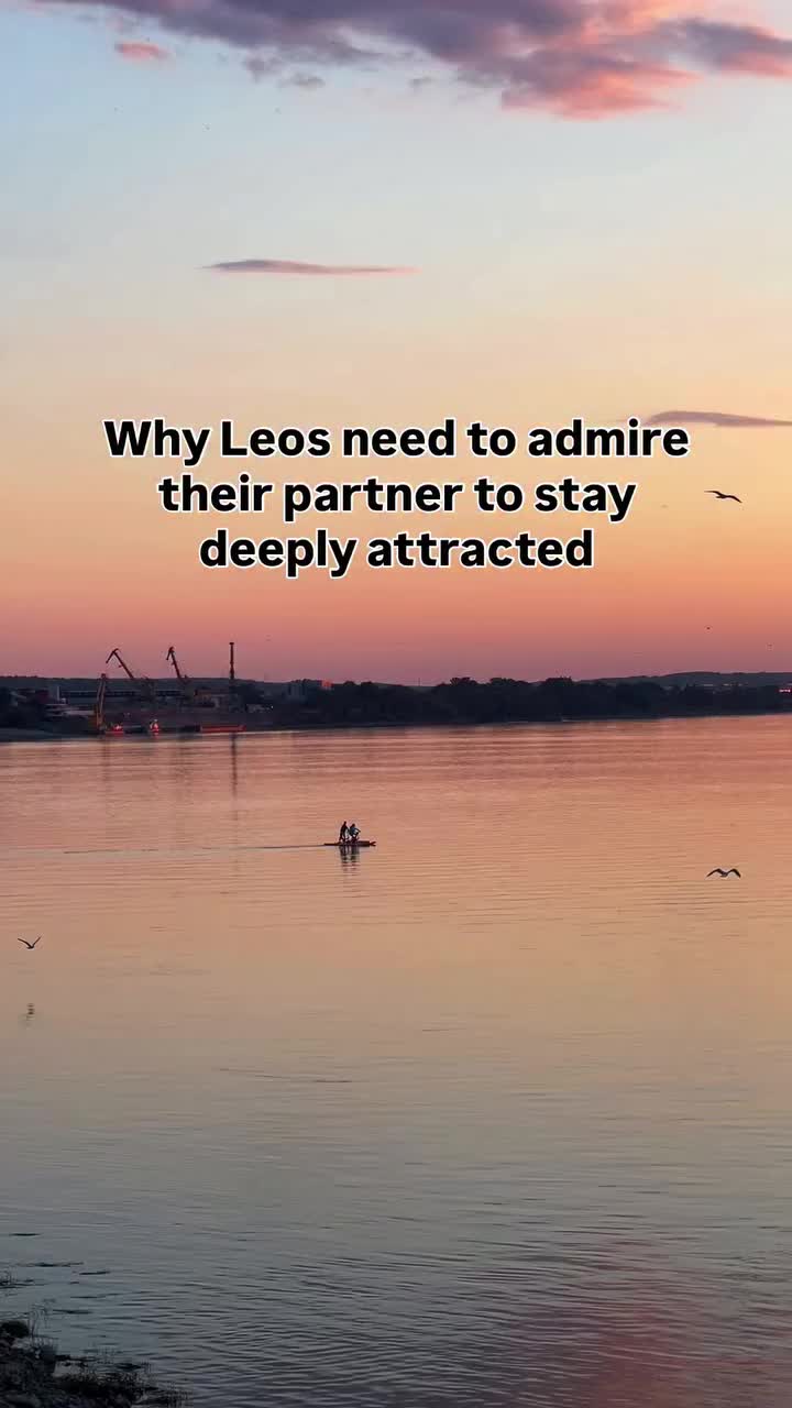 @Leo Code By Denisa
