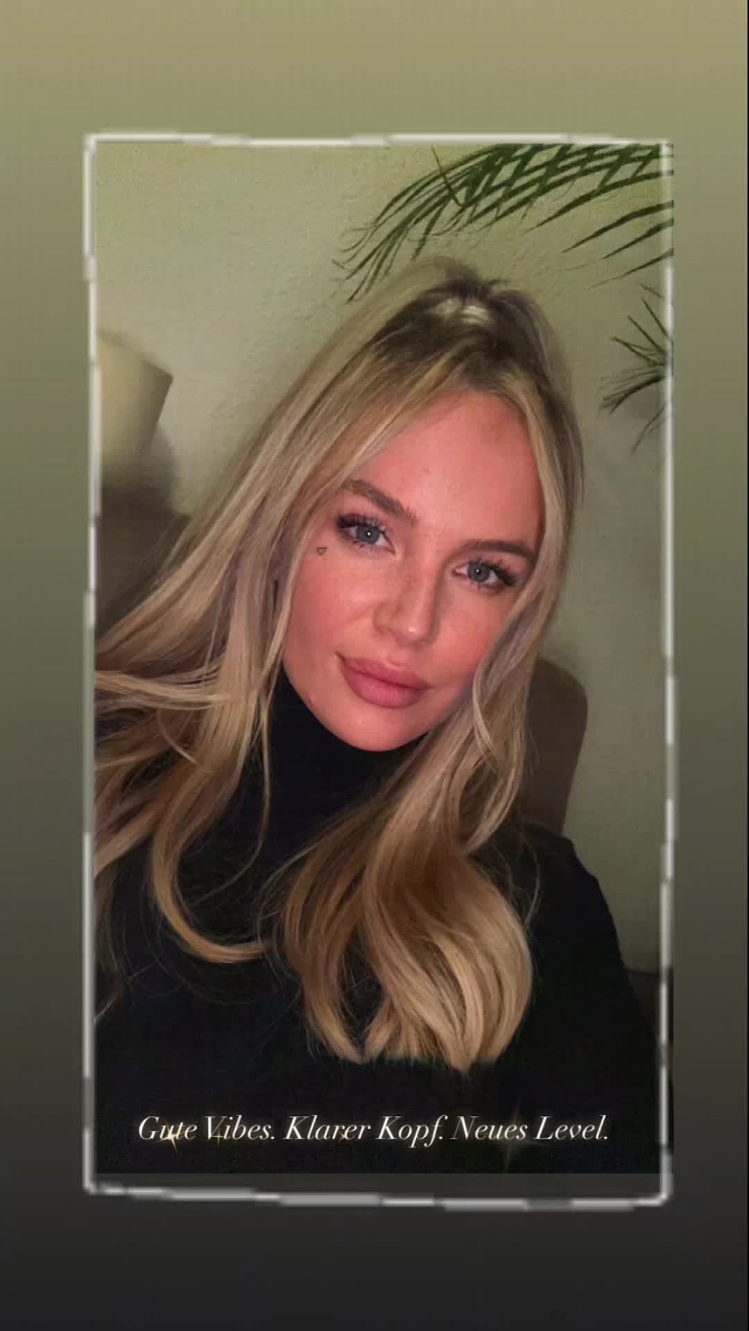 @amiga.1312