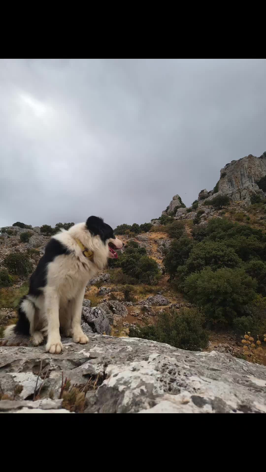 @juan.AKAB.ElCabrero