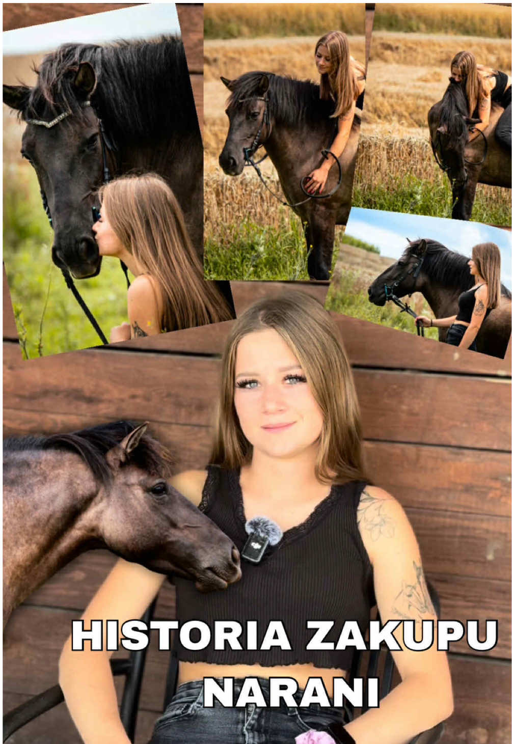 @Harmonia Jeździectwa