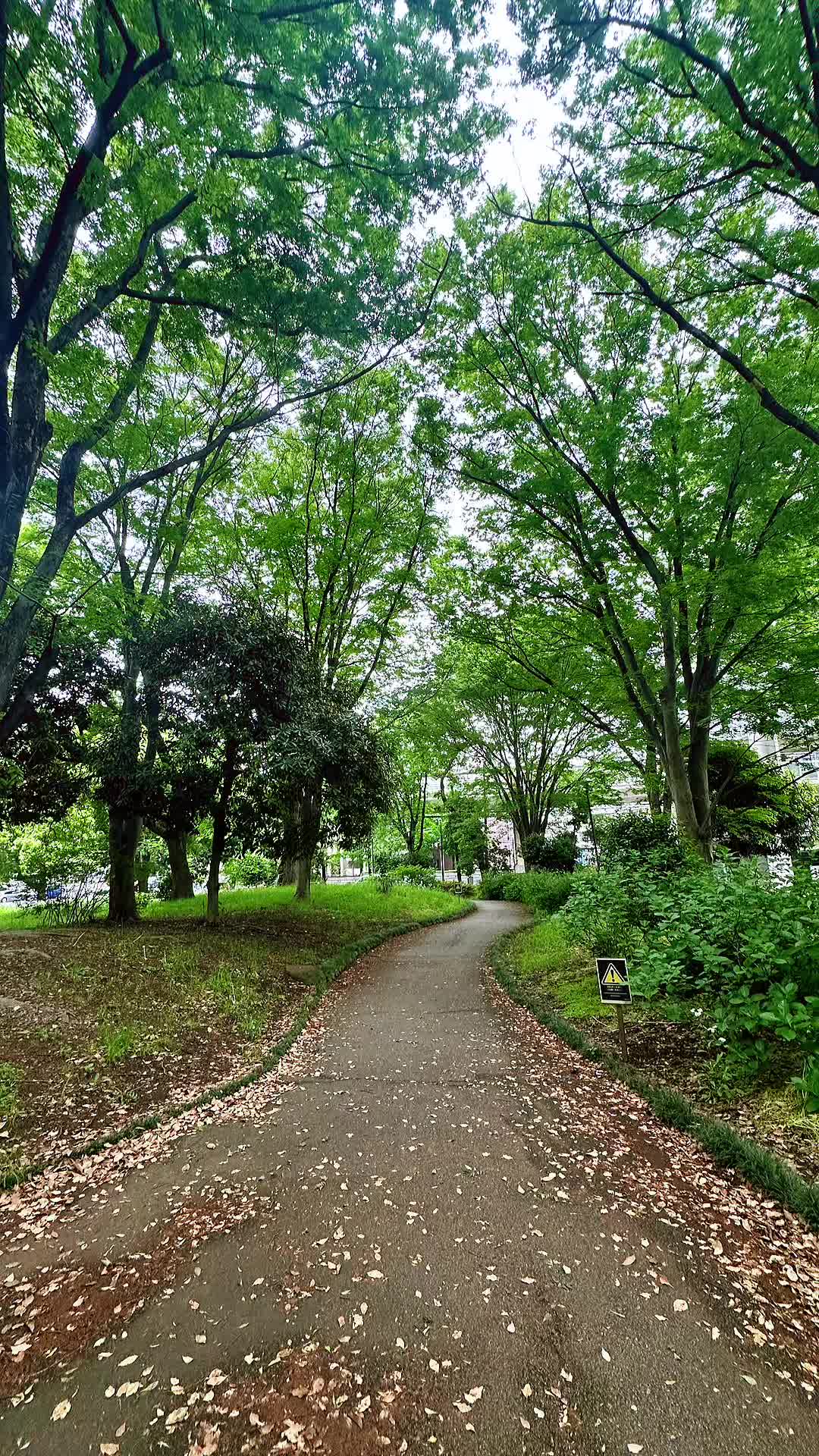 @TallestNepalese in japan🇯🇵