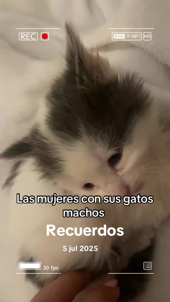 @Cristina Miralles