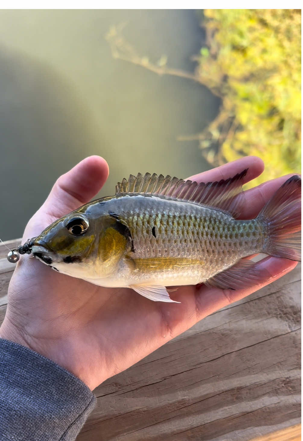 @WHKfishing