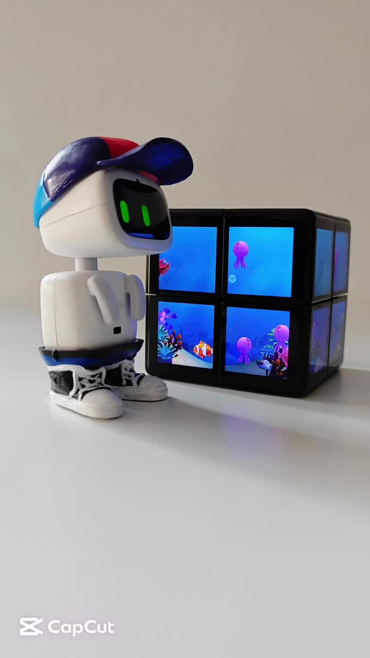 @Living with Robots