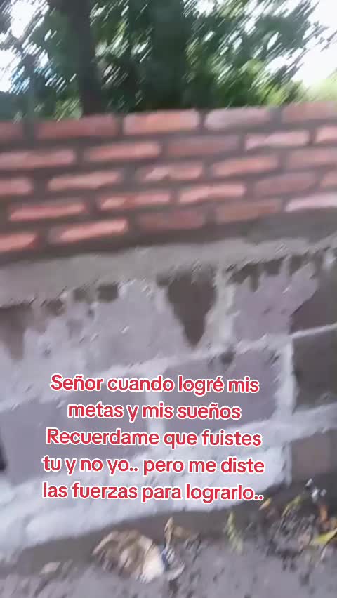@Roque 505 Momo⛰️