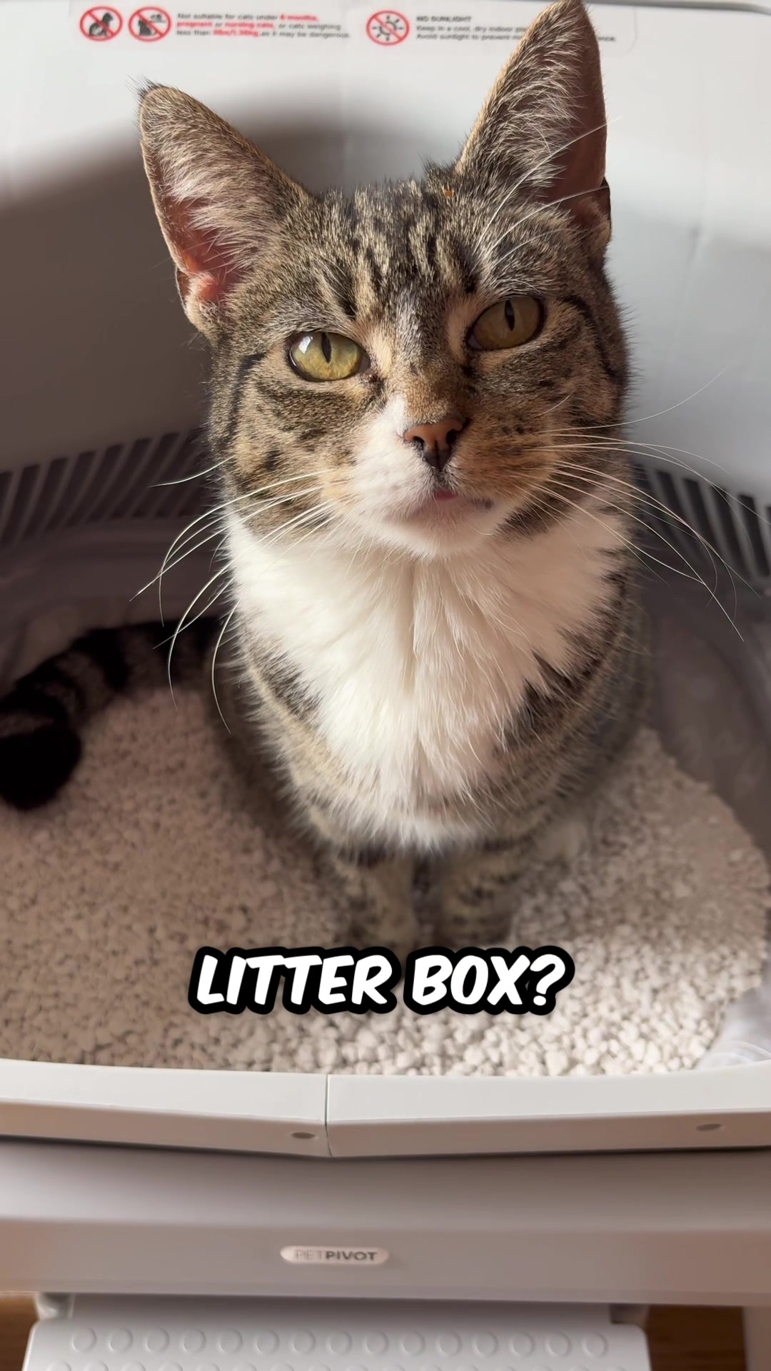 @Mittens