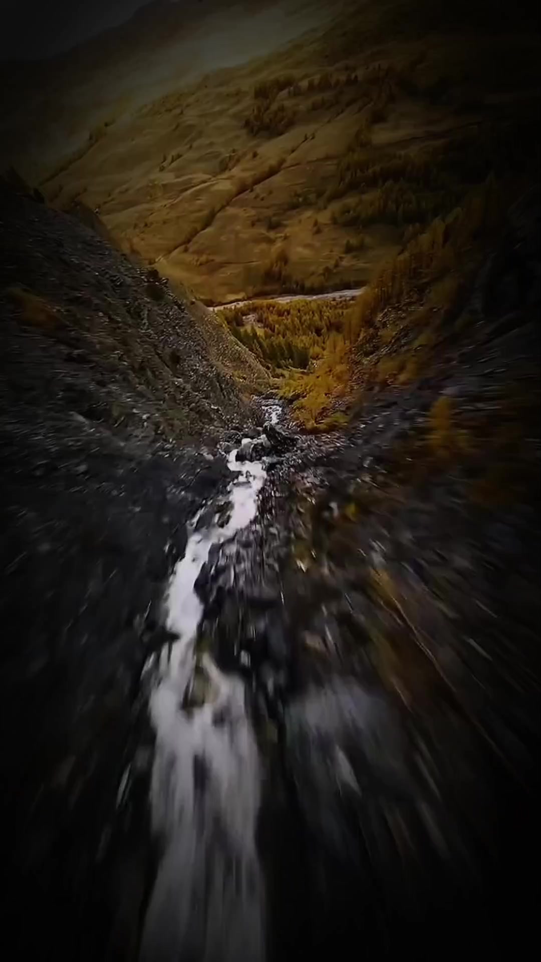 @𝗚𝗲𝗰𝗲𝗱𝗲𝗻𝗻𝗼𝘁