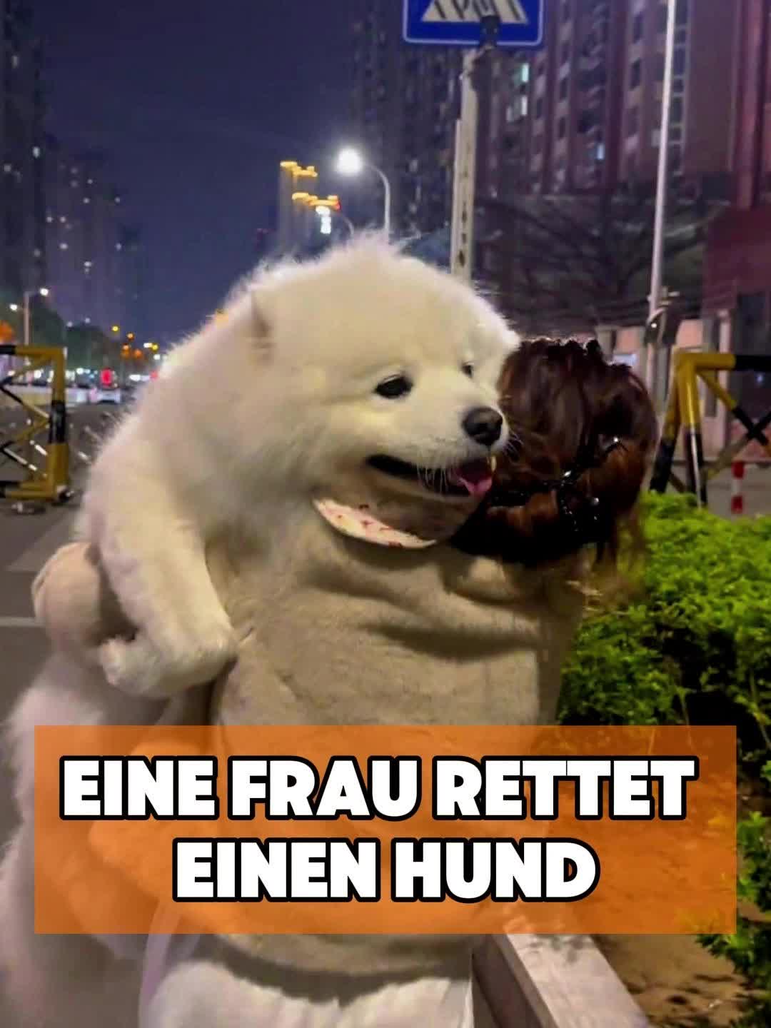 @toto_tier