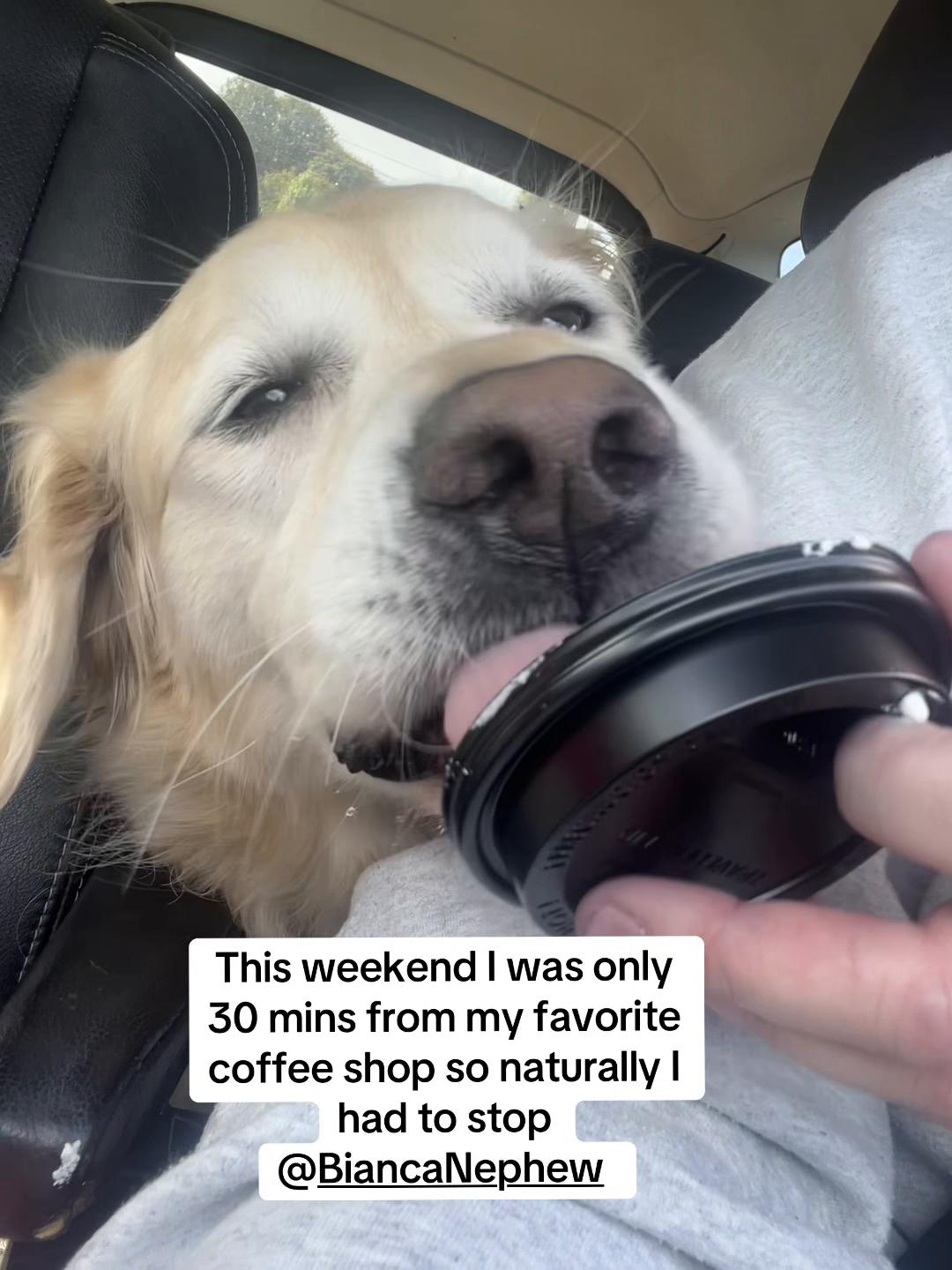 @MJones1996
