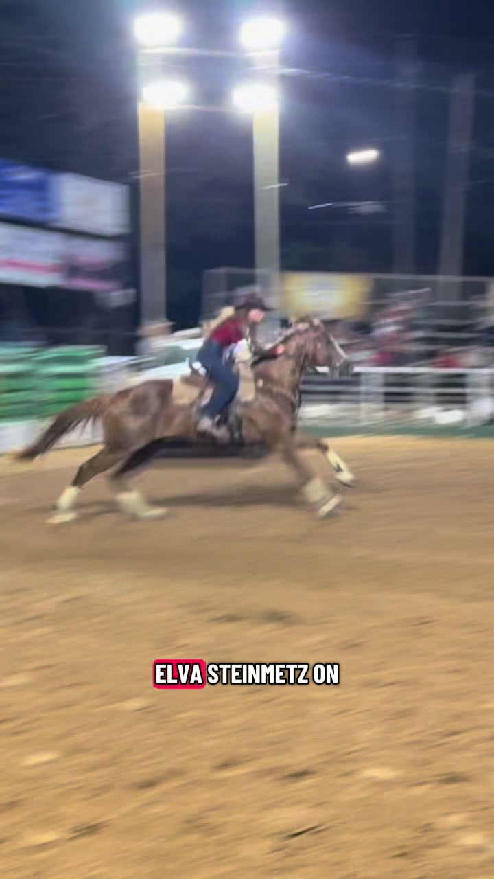 @Elva May Steinmetz Dahlem