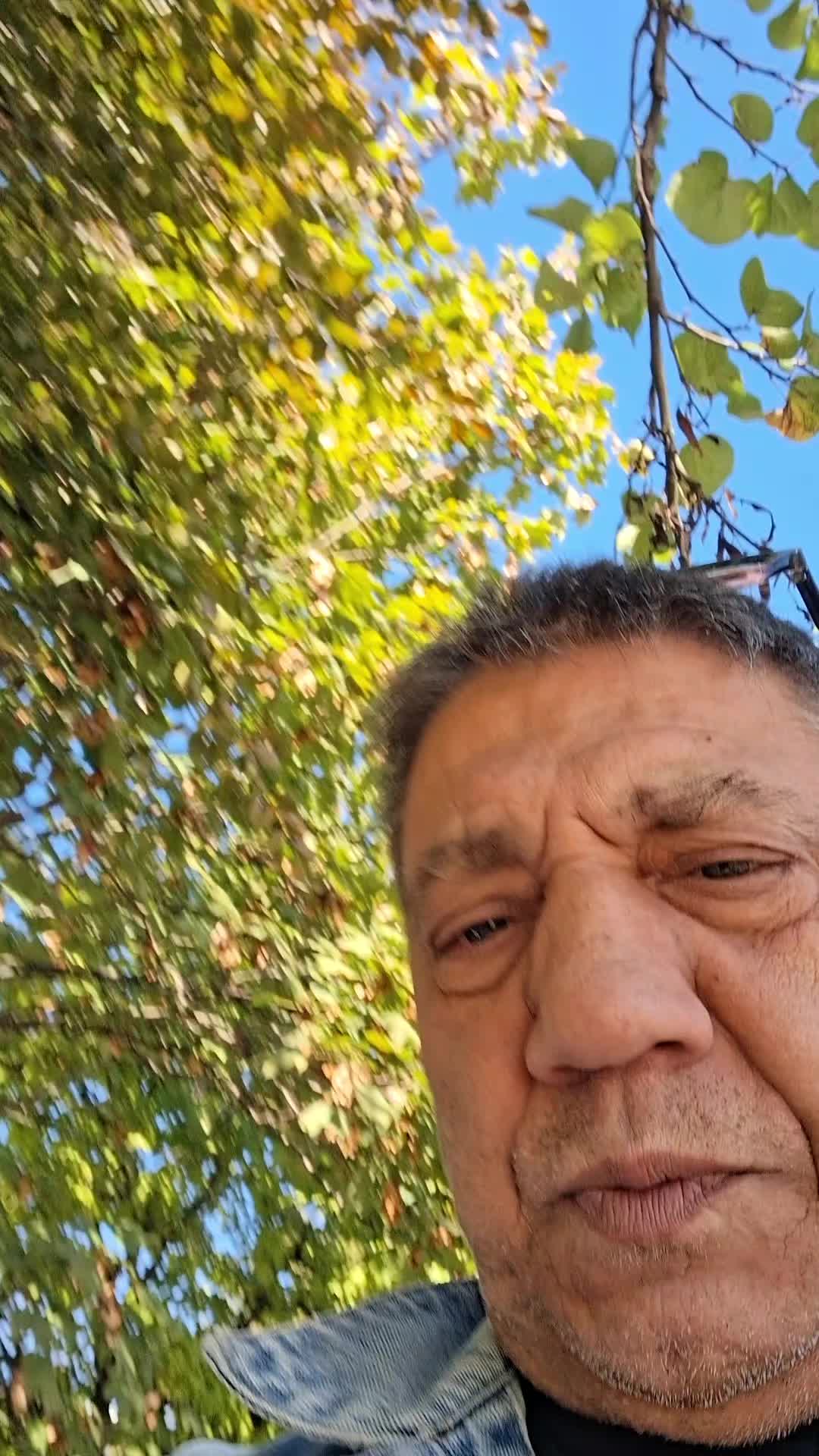 @Enzo
