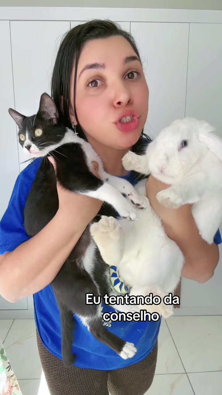 @Fer_Sousa