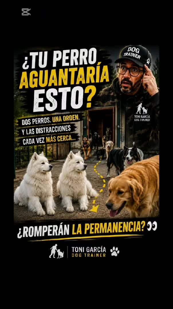 @EDUCADOG.COACHING🐾TONI GARCIA