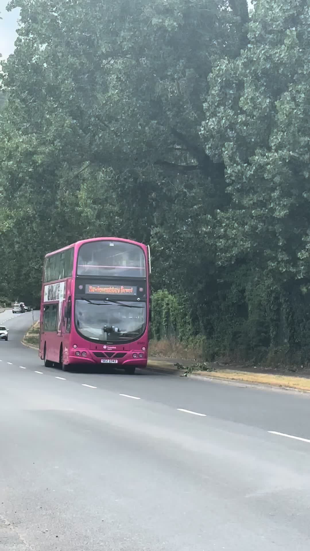 @😮&zwj;💨