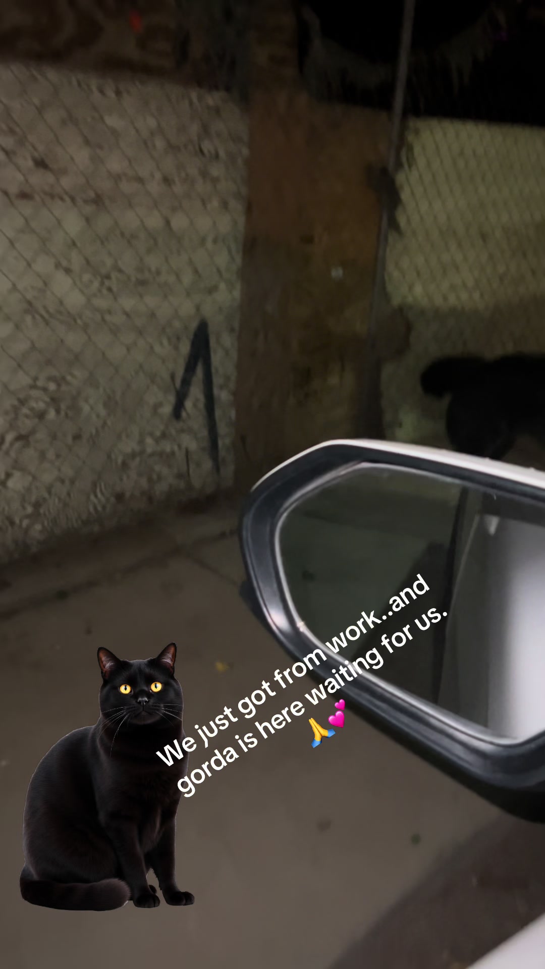 @Mae