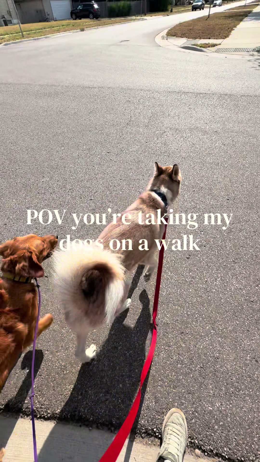 @Disabled Pharmacist
