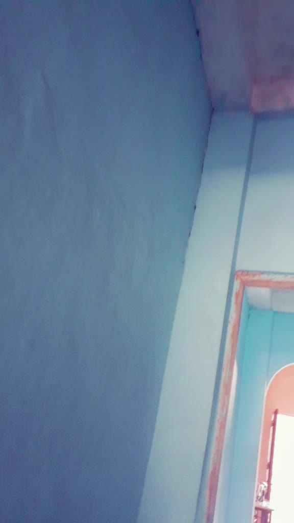 @Sangeeta Raghuvan363