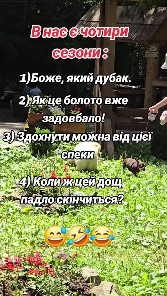@Оксана Косаківська