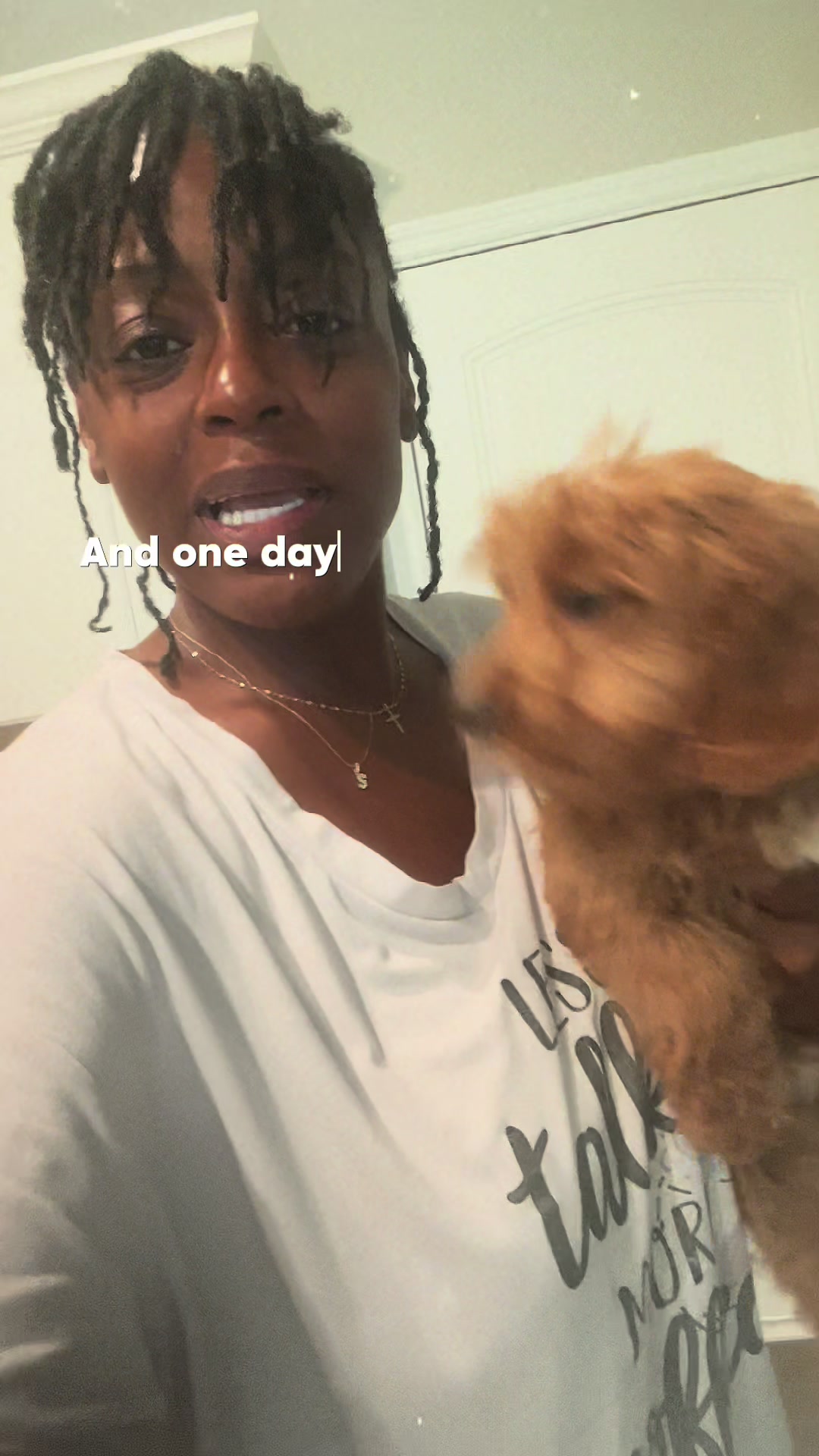@Shortcake_kennel_2