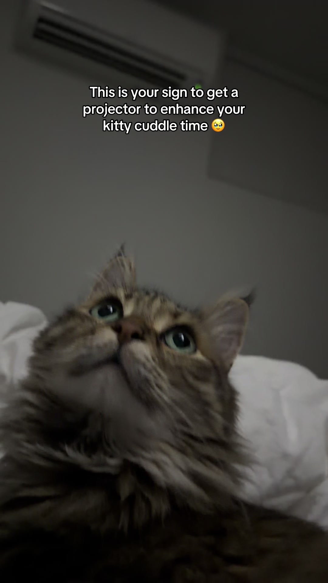 @CatLadySadie