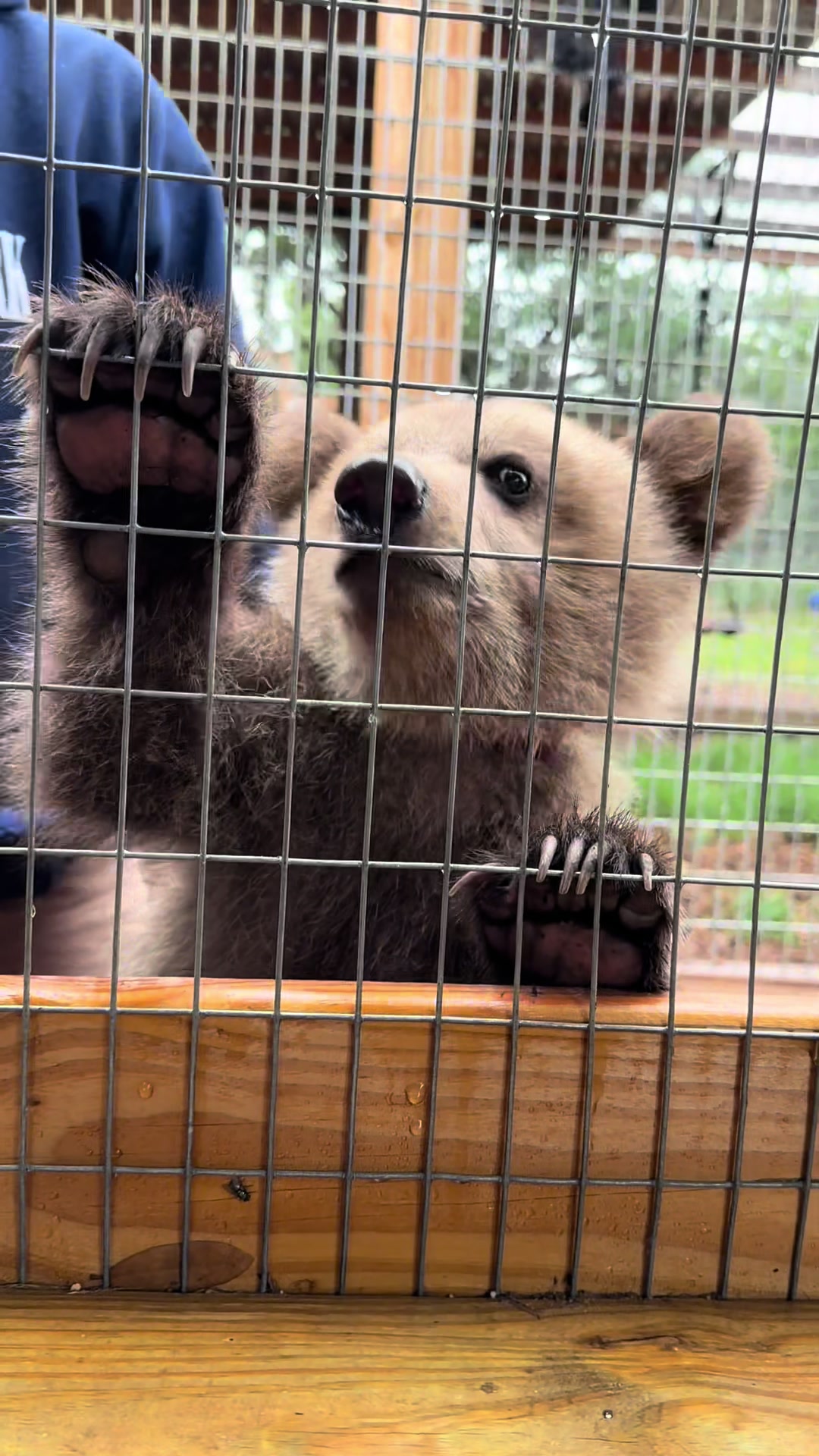 @Texas Wildlife Park