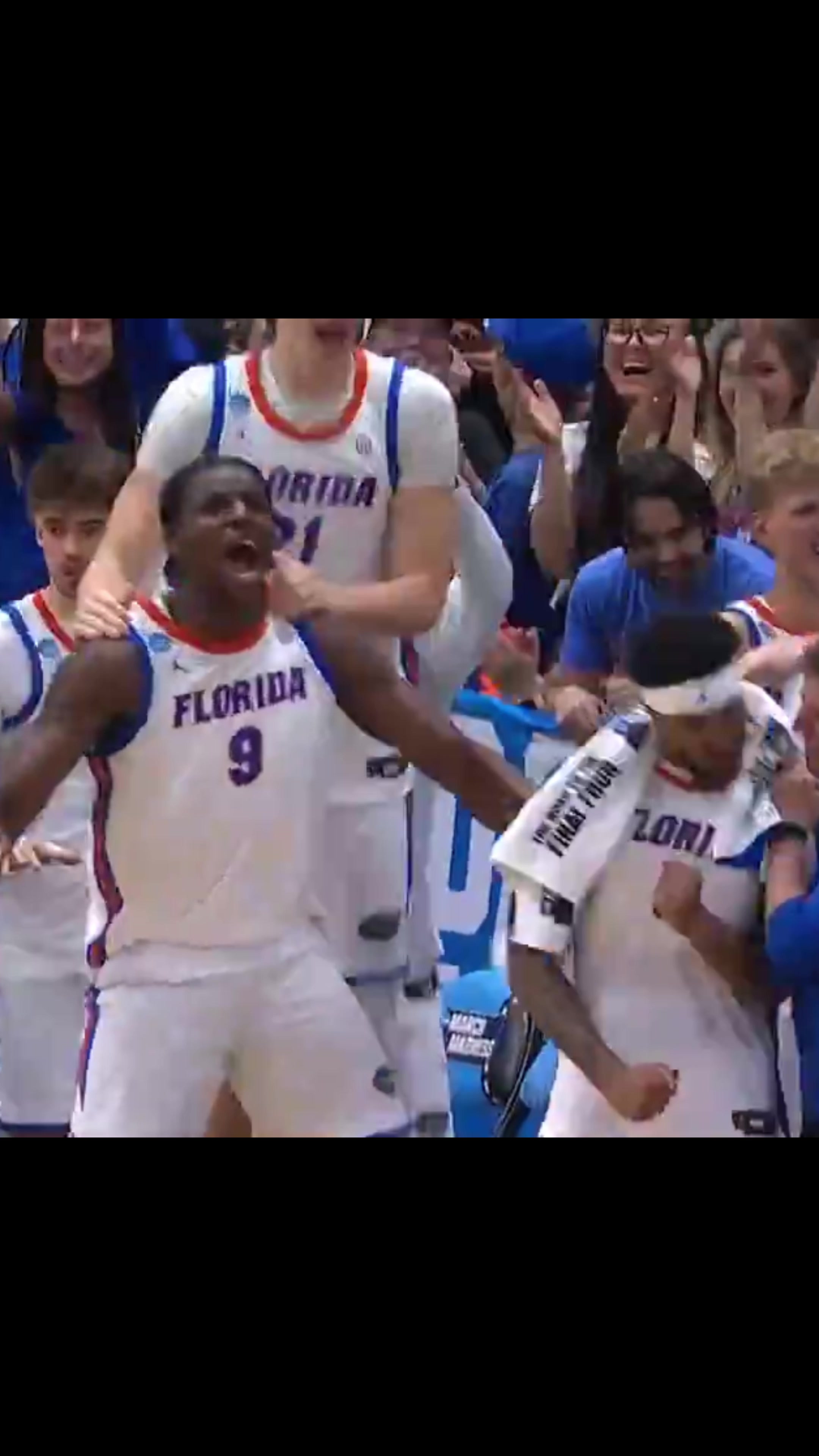 @Gator Clipz