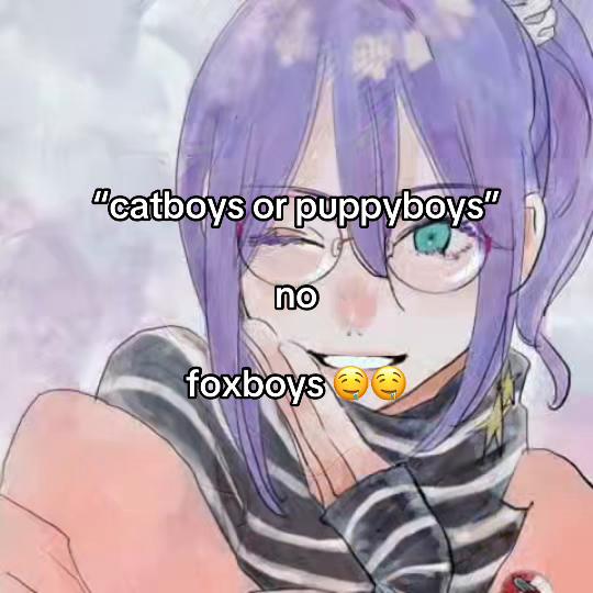 @kitty!
