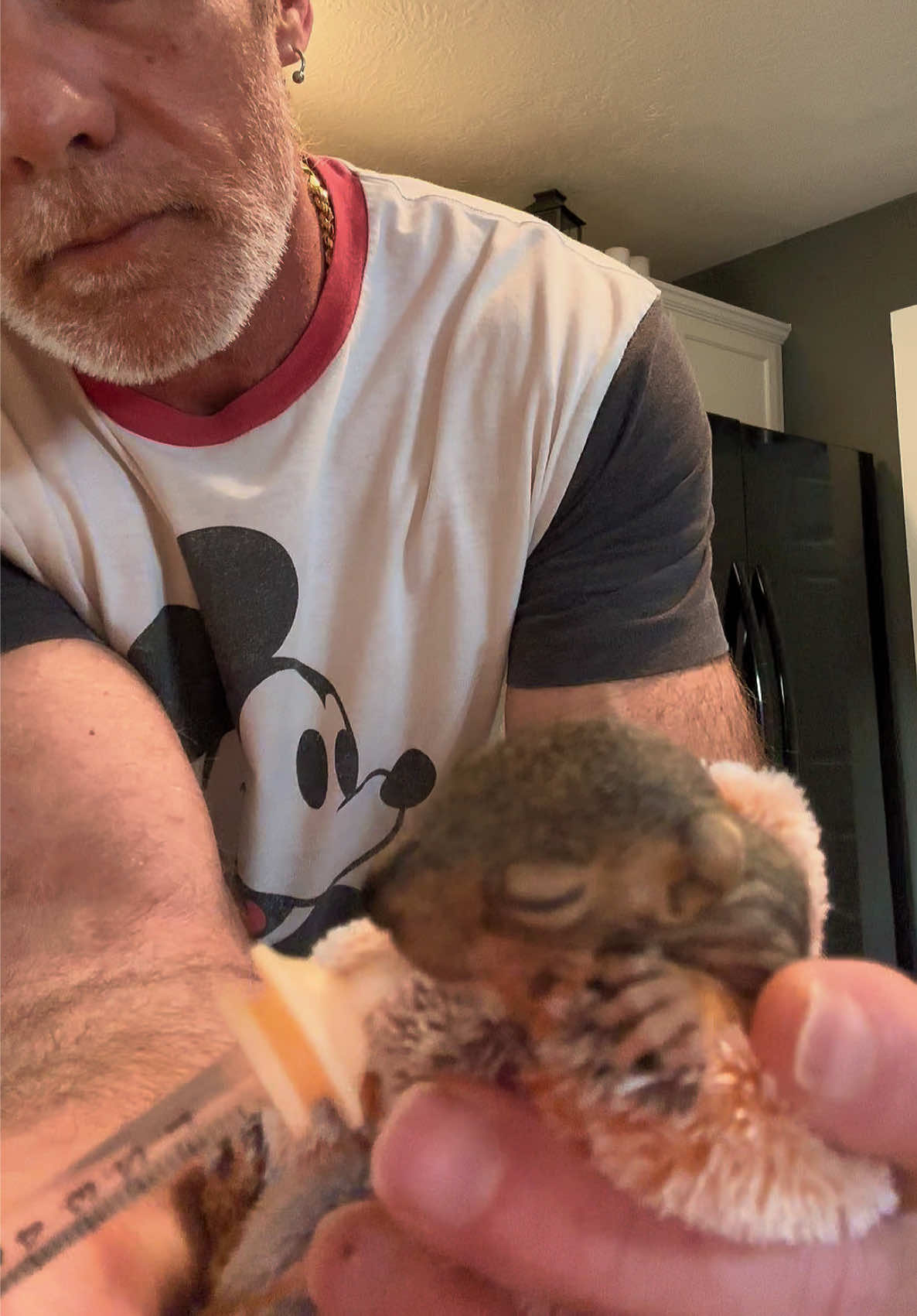 @Squirrel Guy